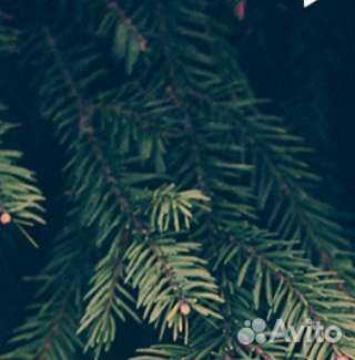 Елка искусственная