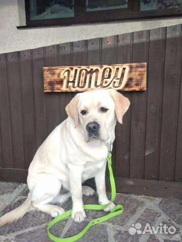 Таблички на вольер