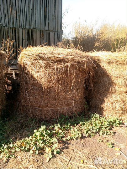 Продам сено в тюках