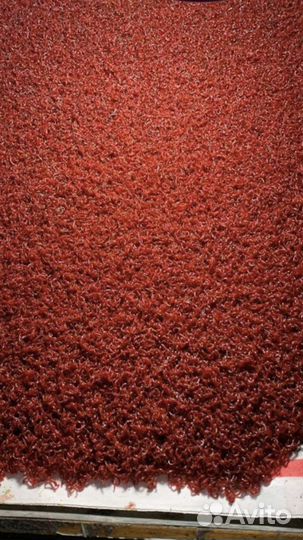 Мотыль и замороженный корм для рыб в блистерах