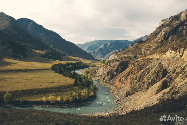 Индивидуальные авторские туры на Алтае