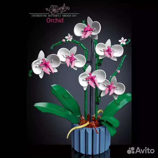 Конструктор Орхидея