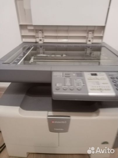 Мфу toshiba e studio 163