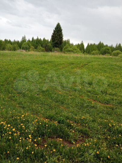 Участок 31 сот. (ИЖС)