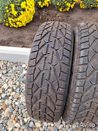 Tigar Winter 185/60 R15