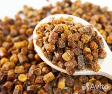 Перга из Алтая