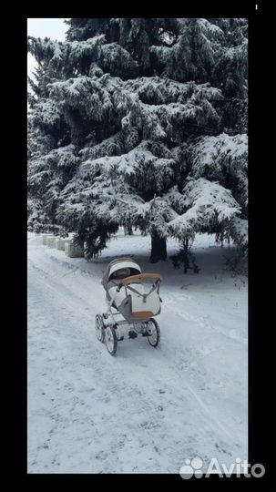 Коляска adamex sofia 3в1