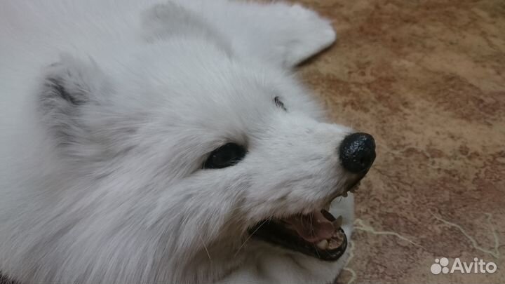 Ковёр белый оригинальный