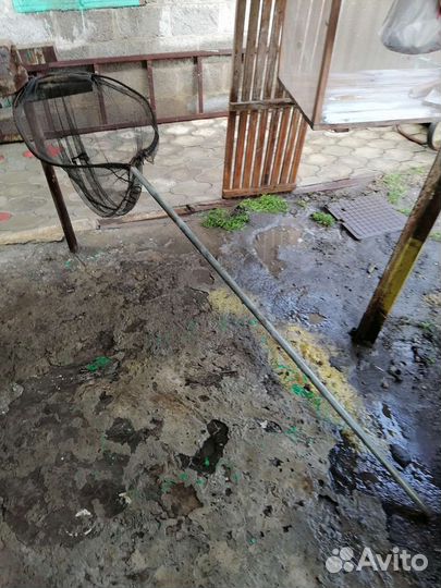 Сачок рыболовный