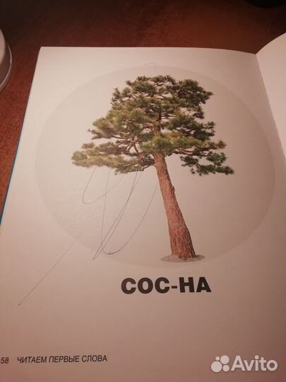 Лариса Суркова 