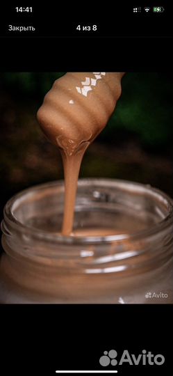 Мед Донниковый Алтайский