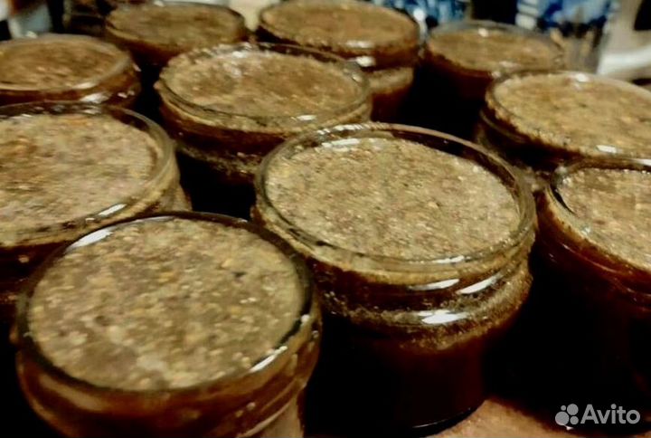 Биоактиватор потенции на меду