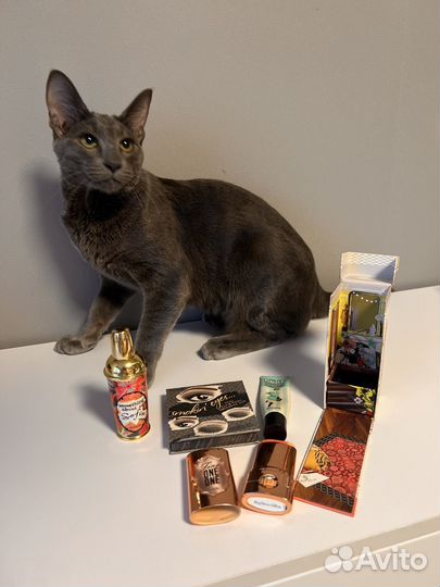 Набор косметики Benefit, кисти mary key