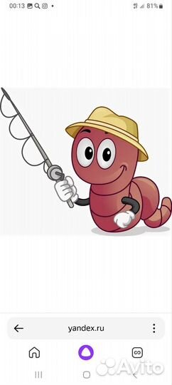 Охота и рыбалка