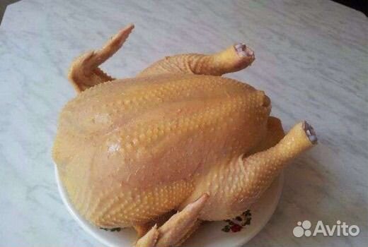 Мясо бройлера