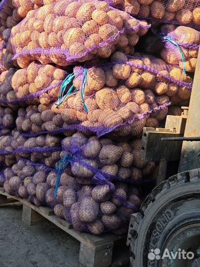 Картофель коломбо 5+