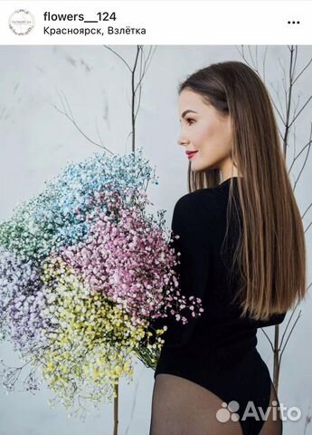 Гипсофила, цветы, букеты, Flowers124