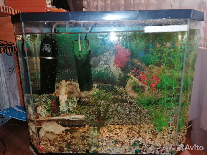 Аквариум с рыбками
