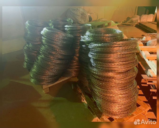 Колючая проволока егоза