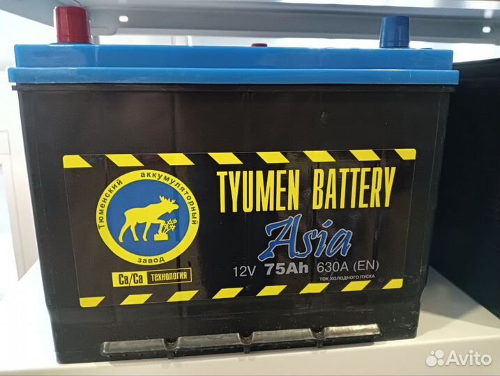 Аккумулятор Tюмeнь Asia 75ач