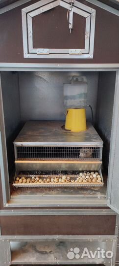 Утепленный домик + клетка для перепелок