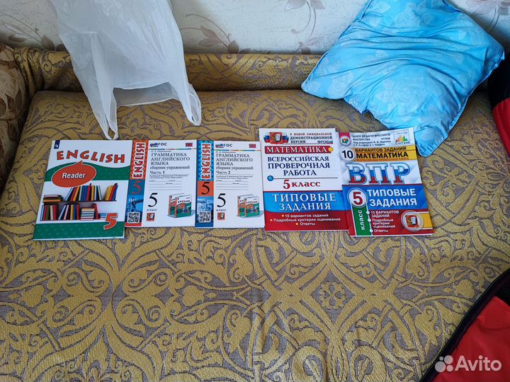 Рабочие тетради 5 класс