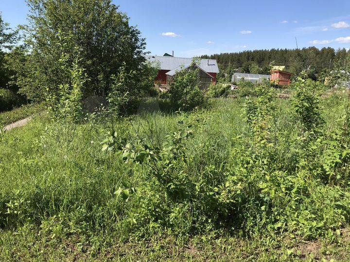 Участок 5,3 сот. (СНТ, ДНП)