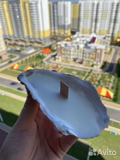 Свечи ручной работы из устрицы