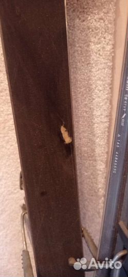 Горные лыжи fischer