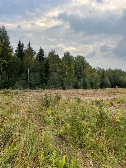 Участок 7 сот. (СНТ, ДНП)