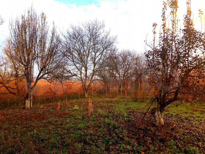 Участок 49 сот. (ИЖС)