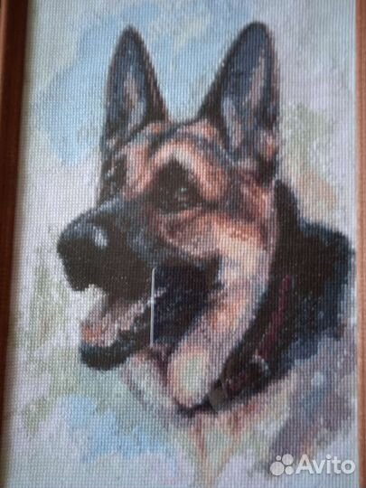 Овчарка. Вышивка крестиком