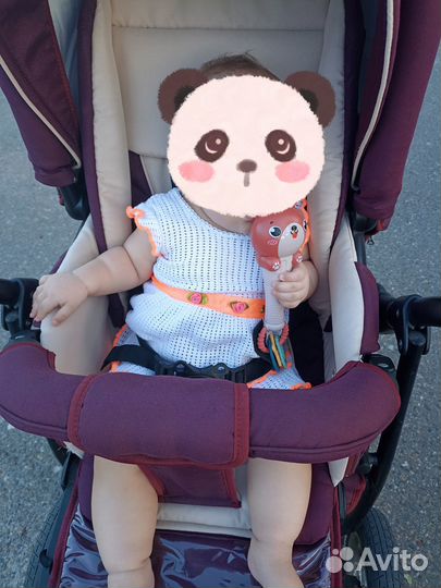 Коляска Adamex mars 2 в 1