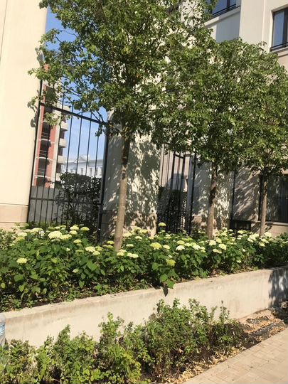 3-к. квартира, 98,6 м², 7/16 эт.