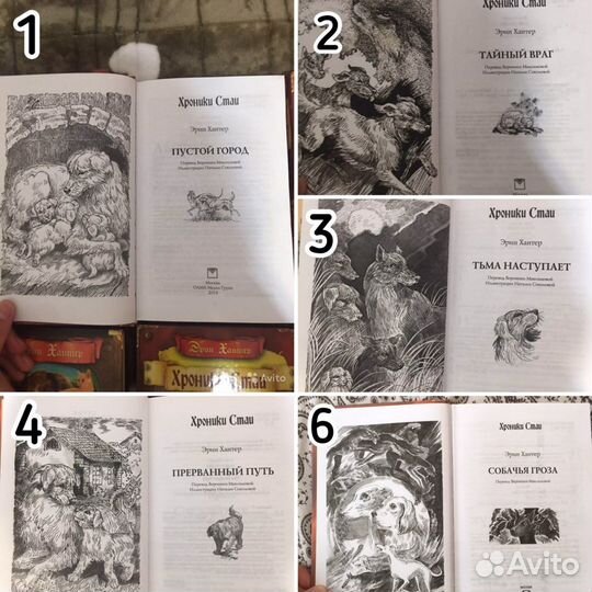 Книги Эриг Хантер Коты Воители/Хроники Стаи