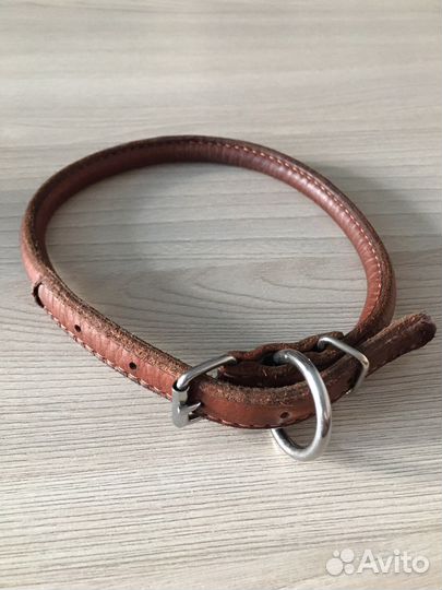Ошейник для собак