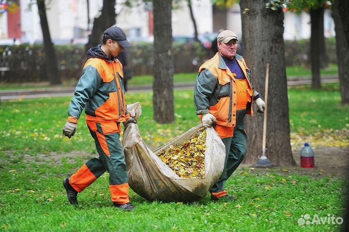 Разнорабочие/услуги разнорабочих