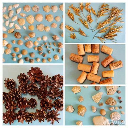 Ракушки камни пробки шишки самолётики для поделок