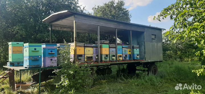 Прицеп для перевозки пчел