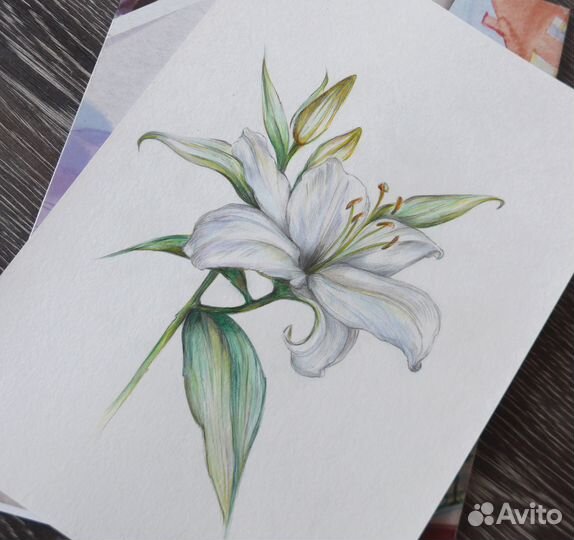 Картина / постер 