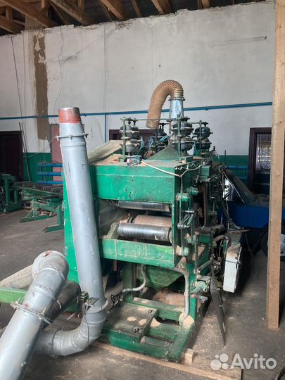 Брусовал ленточный Литва