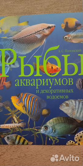 Рыбы аквариумов