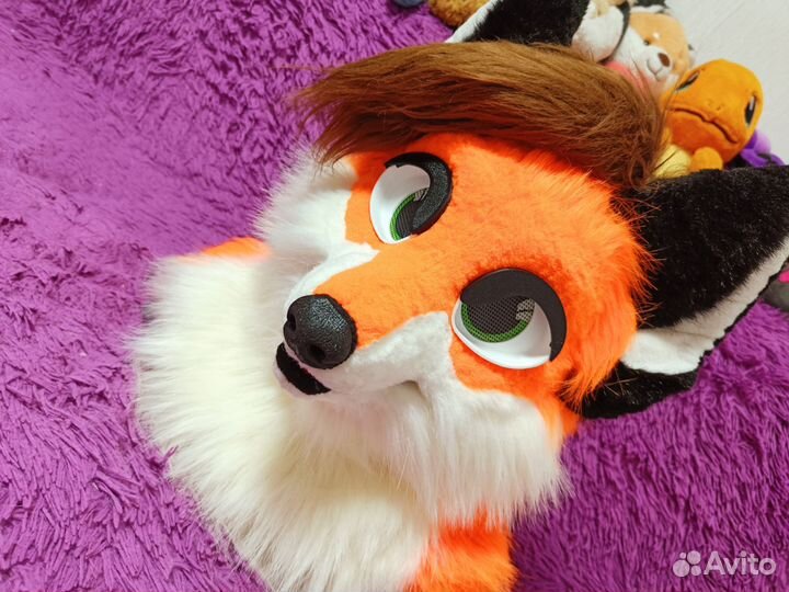 Фурсьют лиса