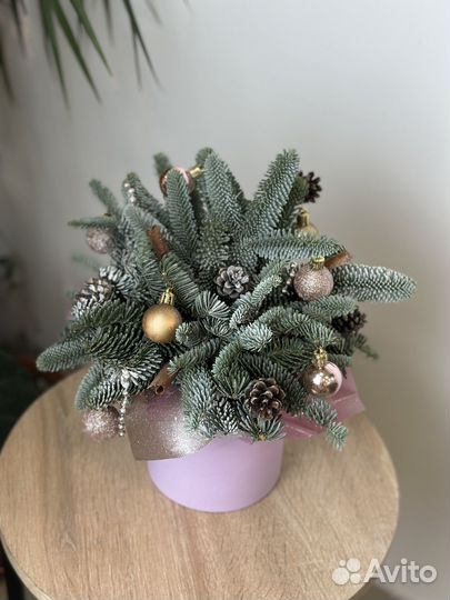 Новогодняя композиция из нобилиса