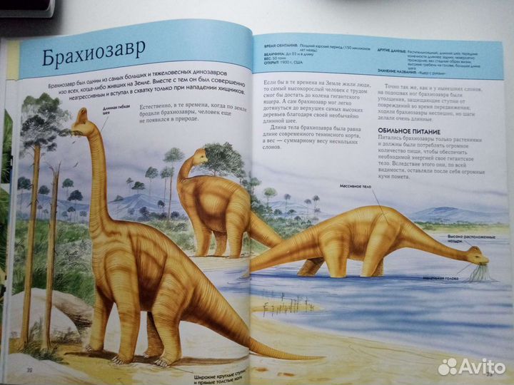 Книги энциклопедии динозавры, акулы