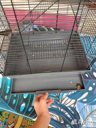 Клетка для крыс
