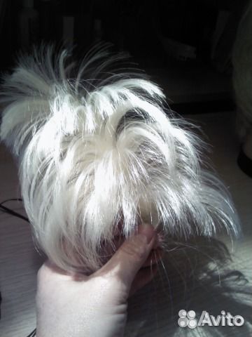 Хвост-основа