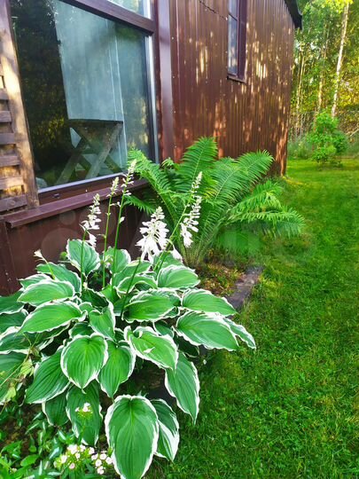 Дом 35,1 м² на участке 20 сот.