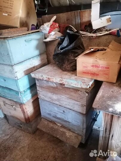 Пчелы и улья