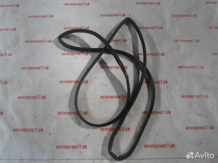 Уплотнитель двери задней левой Faw Besturn B50 200